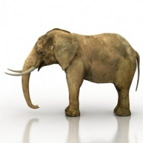 Modelo 3d de elefante realista