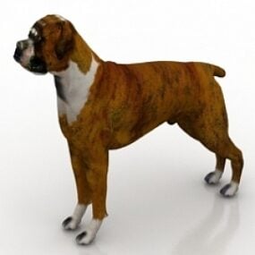 نموذج الكلب ثلاثي الأبعاد