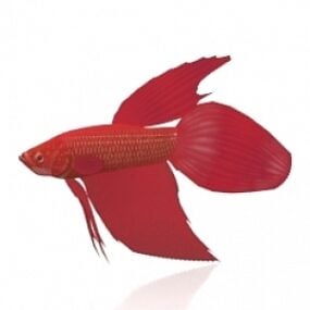 Modelo 3d de peixe