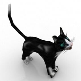 مدل گربه سه بعدی