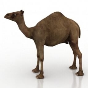 Modelo 3d de camelo
