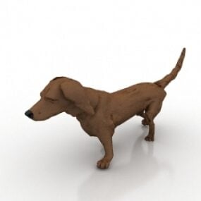Hund 3D-Modell