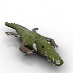 Model 3d Alligator