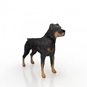 Modelo 3D de cão Terrier de caça alemão