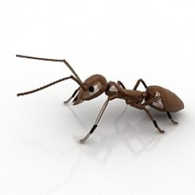 Modello 3d della formica