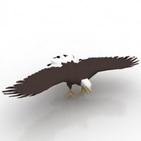 Eagle 3d-modell