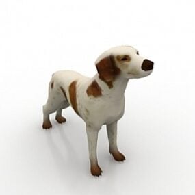 Modello 3d del cane