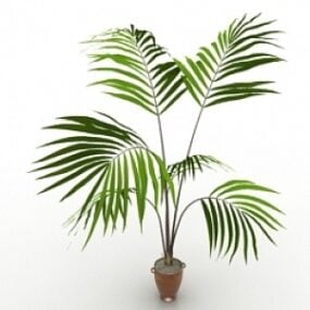 Model 3D Palm