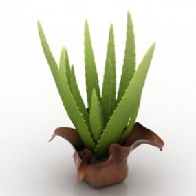식물 3d 모델