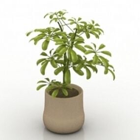 3D-model van planten