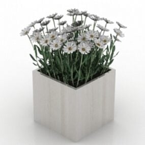 Květiny heřmánkový 3D model