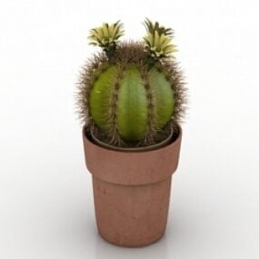 Cactus 2 modelo 3d