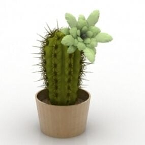 Kaktus 3d-modell