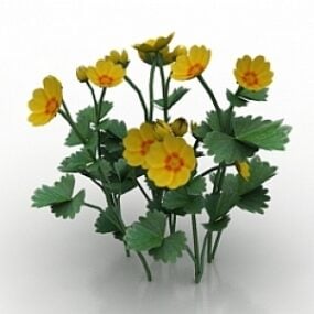 Fleur Potentille Fragiformis modèle 3D
