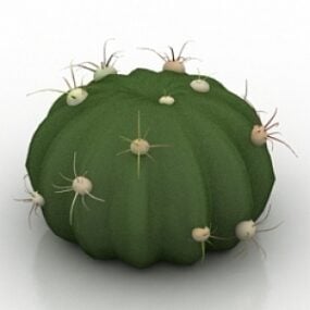 Múnla Cactus Ferocactus Latiapin 3d