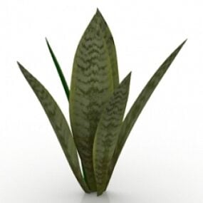 植物婆婆舌头3d模型