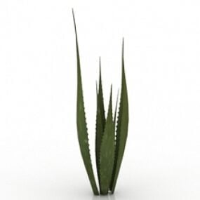 Model 3D roślinnego aloesu