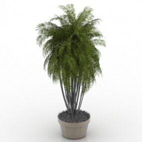 3D model palmy