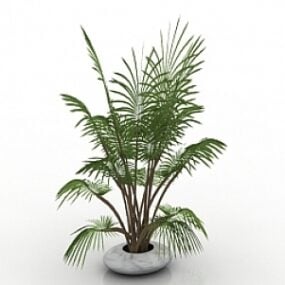 棕榈3d模型