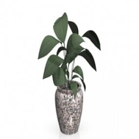 Plant 3d-model