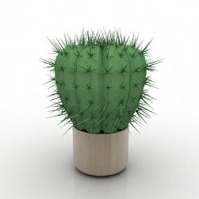 3д модель кактуса