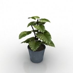 Model 3D rośliny