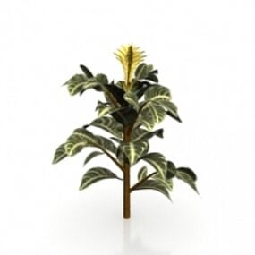 3d модель рослини