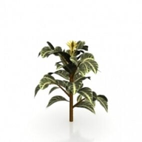 نموذج نباتي ثلاثي الأبعاد