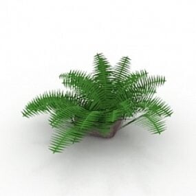 مدل سه بعدی گیاه سرخس
