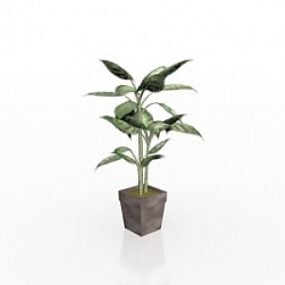Ficus 3d-modell