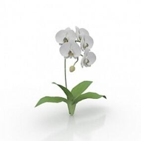 Model 3D kwiatu Kotyou