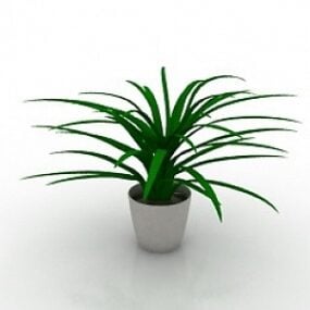 Pflanze 2 3D-Modell