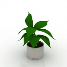 Plant 1 3d model