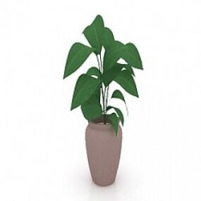 Ficus 3d-modell