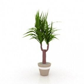 Yucca 3d-modell