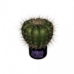 Model 3D kaktusa