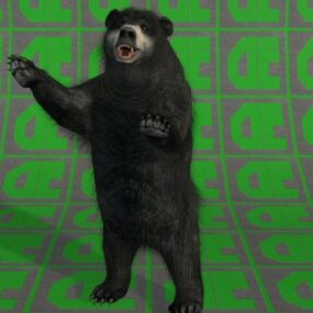 Bear Animal 3d model