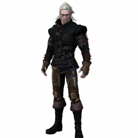 The Witcher Game Character