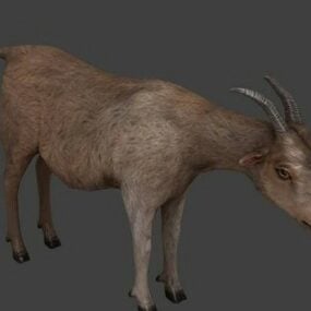 Goat Animal 3d-malli