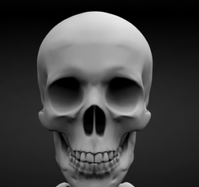 Highpoly Skelett 3D-Modell
