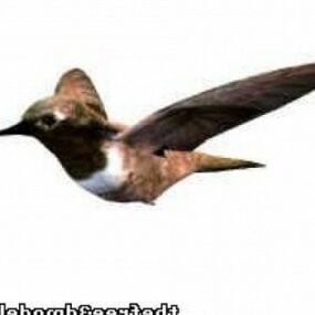 Modello 3d del colibrì volante