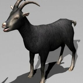 3д модель черной козы-овцы