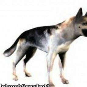 דגם תלת מימד של כלב רועה גרמני