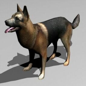 Modello 3d del cane alsaziano