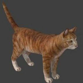 مدل سه بعدی گربه وحشی