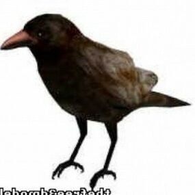 Crow Bird 3d-modell