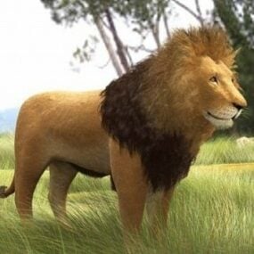 Африканський лев 3d модель