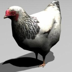 نموذج حيوان الدجاج ثلاثي الأبعاد
