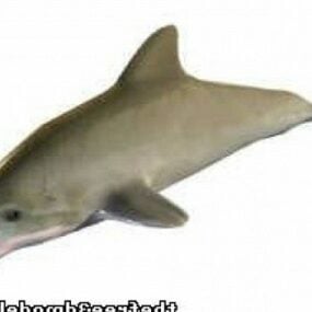 Dolphin Lowpoly mô hình 3d