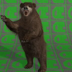 Björndjur 3d-modell